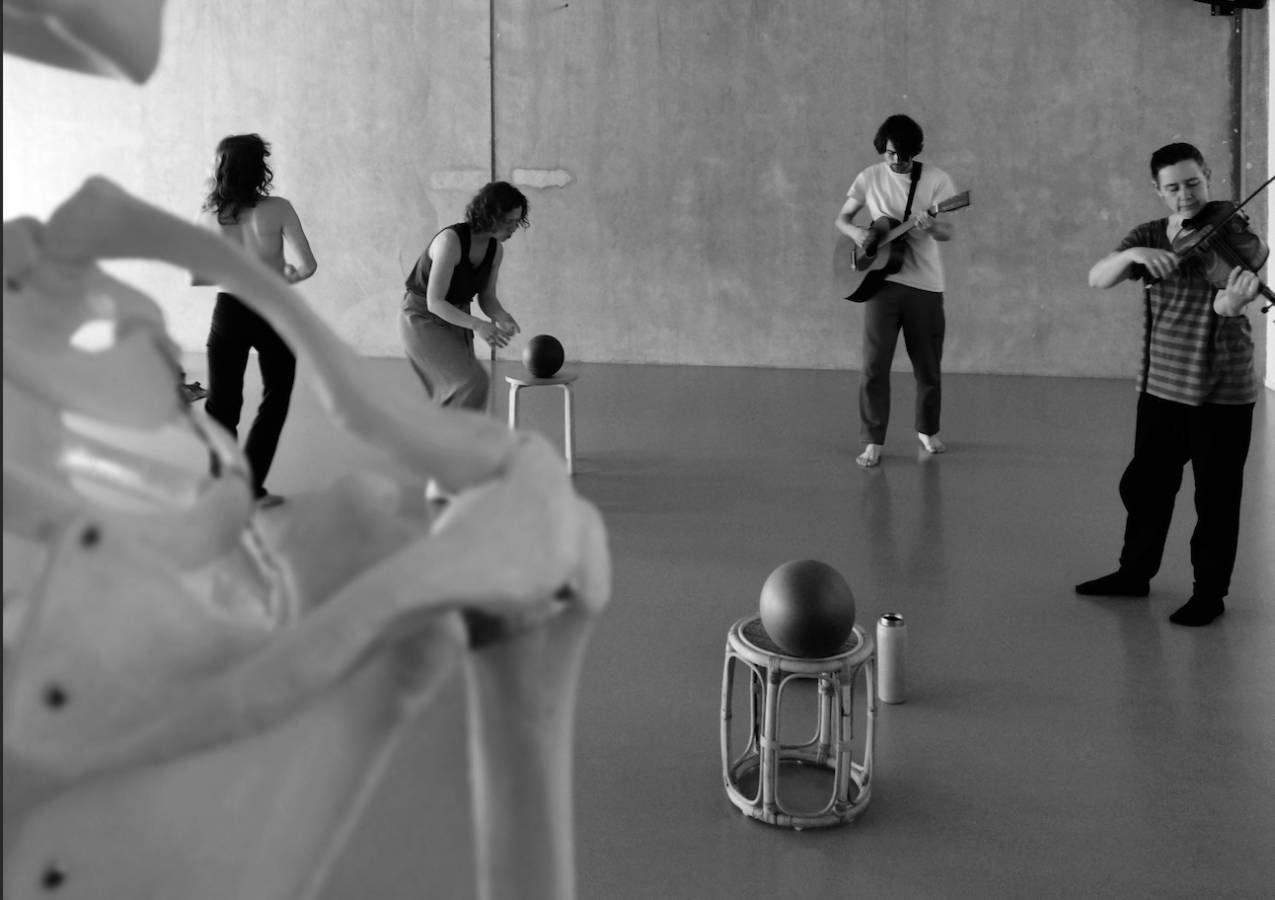 Introductie BMC (Body Mind Centering) met Marisa Grande